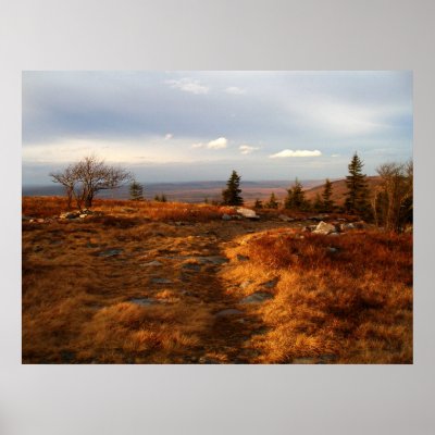 Late Afternoon on the Sods Poster by Trakker