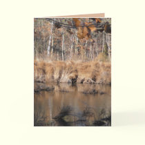 Late Autumn cards by MoiraAshleigh Late Autumn cards