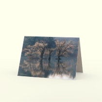 Late Autumn Island Reflections cards by MoiraAshleigh Late Autumn Island Reflections cards