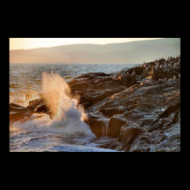 'Late Evening Sun and Surf at Schoodic Point 2' posters