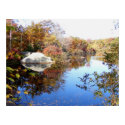 Late Fall in the park posters