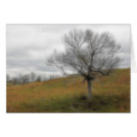 Late Fall - The Barren Hillside Greeting Card
