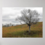 Late Fall - The Barren Hillside Poster