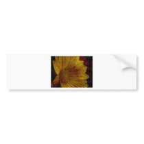 Late Night Kisses Bumper Sticker
