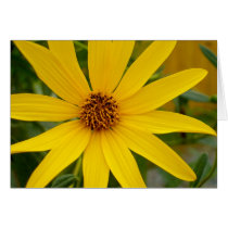 Late Summer cards