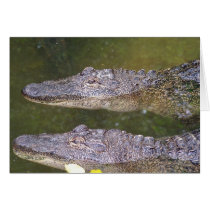 Later Gator cards by slinky789 Later Gator cards