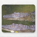 Later Gator mousepads