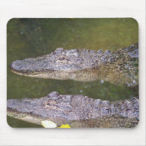 Later Gator mousepads