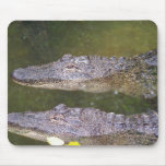 Later Gator Mouse Pads