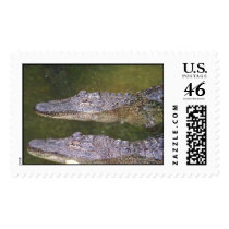 Later Gator Postage Stamp