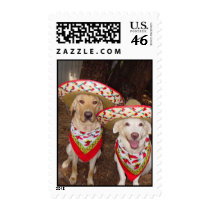 Latin Lab postage by myrtieshuman Latin Lab postage