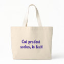 Latin Phrase on Lawyer Bag
