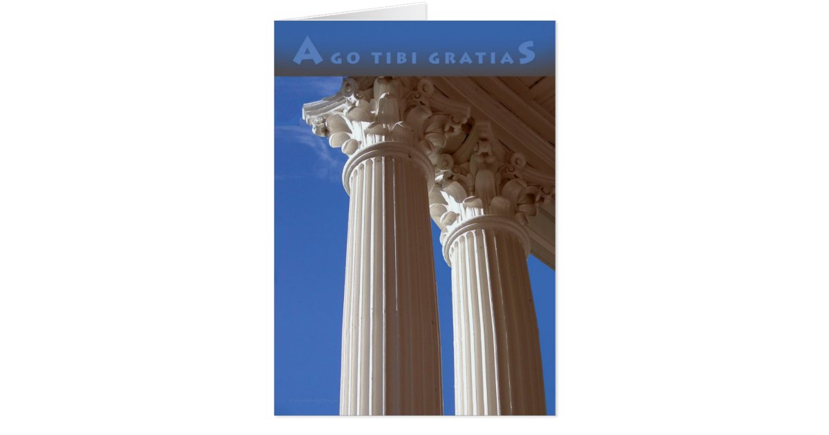 Latin Thank You Card Zazzle