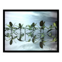 lattice1 posters