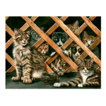 Lattice Cats Postcard