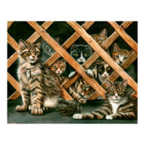 Lattice Fence Cats tuxedo tabby gray Poster posters