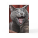 Laugh it up! cards by iiiyaaa Laugh it up! cards