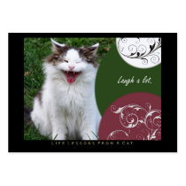 Laugh Life Lessons From a Cat ACEO Art Cards Business Card