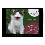 Laugh Life Lessons From a Cat Card