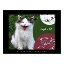 Laugh Life Lessons From a Cat Fine Art Print
