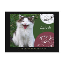 Laugh Life Lessons From a Cat Postcard by jaisjewels Laugh Life Lessons From a Cat Postcard