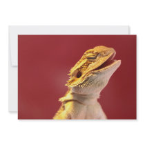 Laughing Bearded Dragon Invitation