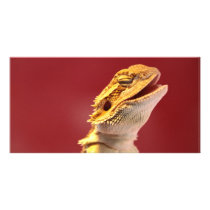 Laughing Bearded Dragon Photo Greeting Card