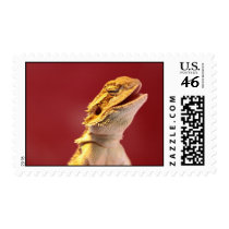 Laughing Bearded Dragon Postage Stamps