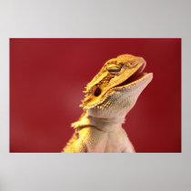 Laughing Bearded Dragon Print