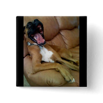 laughing boxer buttons