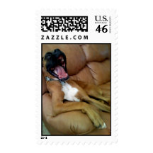 Laughing Boxer stamp