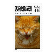 Laughing Cat postage by ptvertible Laughing Cat postage