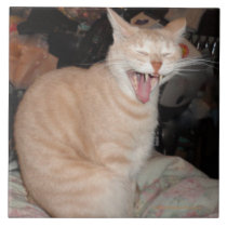 Laughing Cat Tile