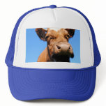 Laughing cow hats