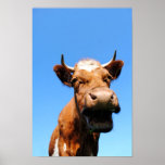 Laughing cow posters
