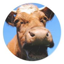 Laughing cow round stickers