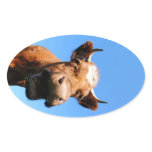 Laughing cow stickers