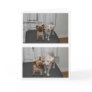 Laughing Dog Birthday Card