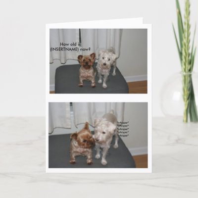 Laughing Dog Birthday Card by