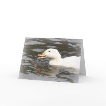 'Laughing Gosling' Greeting Cards