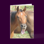 Laughing Horse