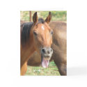 Laughing Horse cards