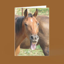 Laughing Horse cards