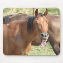 Laughing Horse mousepads
