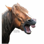 Laughing Horse Pin Photo Cut Out