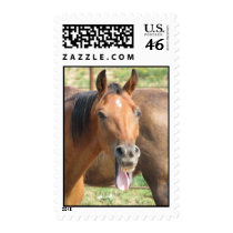 Laughing Horse postage
