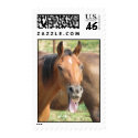Laughing Horse postage by iiiyaaa Laughing Horse postage