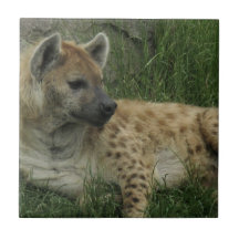 Laughing Hyenas Tile