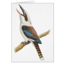 Laughing Kookaburra Card