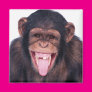 Laughing Monkey Fridge Magnet Laughing Monkey Fridge Magnet